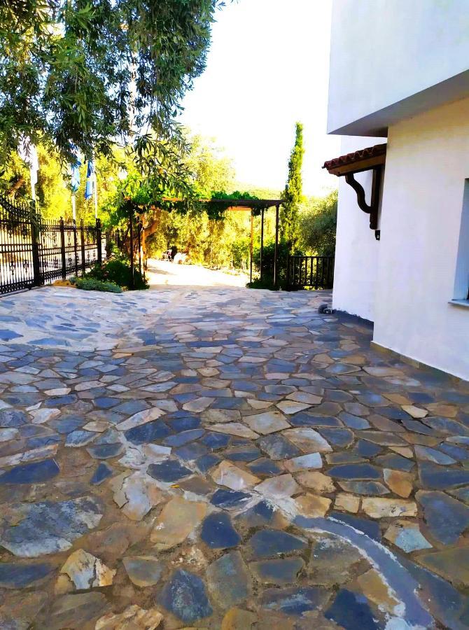 Villa Leonidas Greecefiloxenia Lefokastro Exterior photo