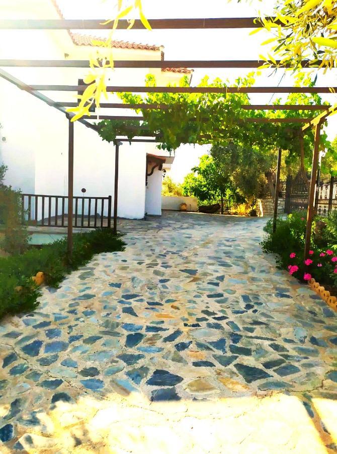 Villa Leonidas Greecefiloxenia Lefokastro Exterior photo