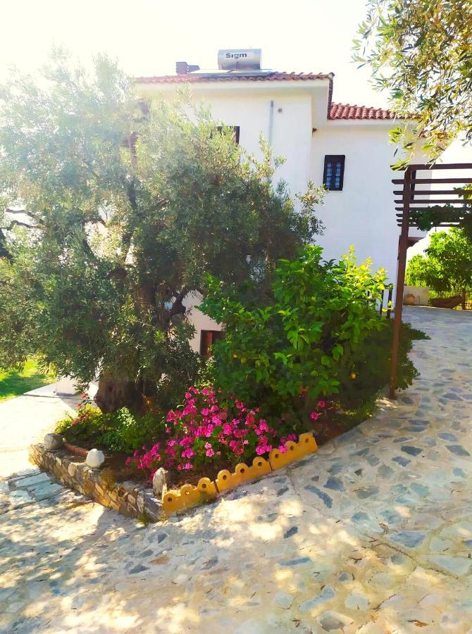Villa Leonidas Greecefiloxenia Lefokastro Exterior photo