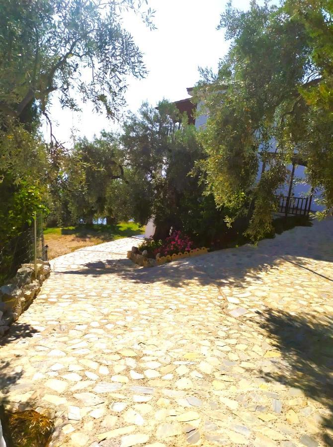 Villa Leonidas Greecefiloxenia Lefokastro Exterior photo