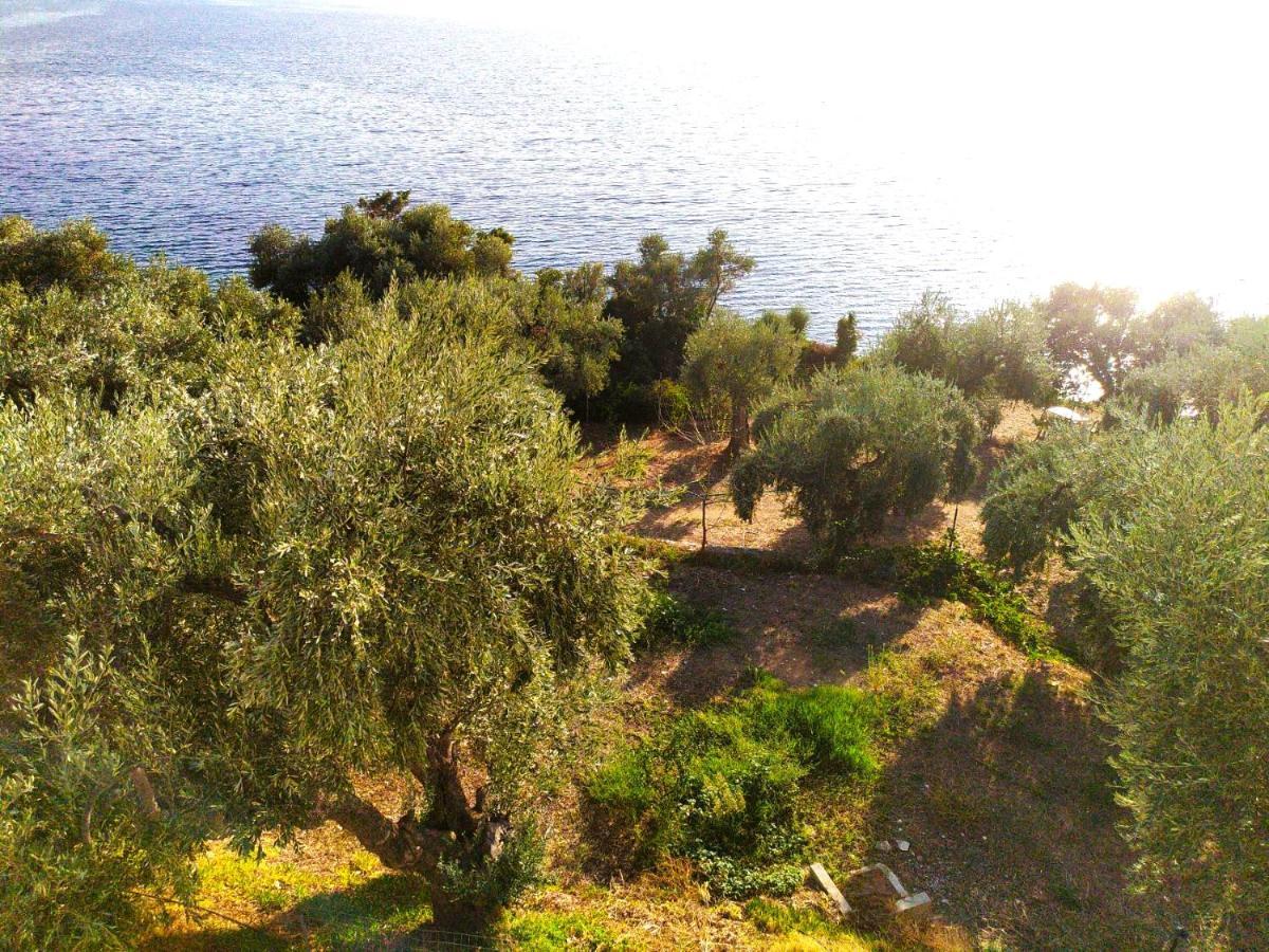 Villa Leonidas Greecefiloxenia Lefokastro Exterior photo